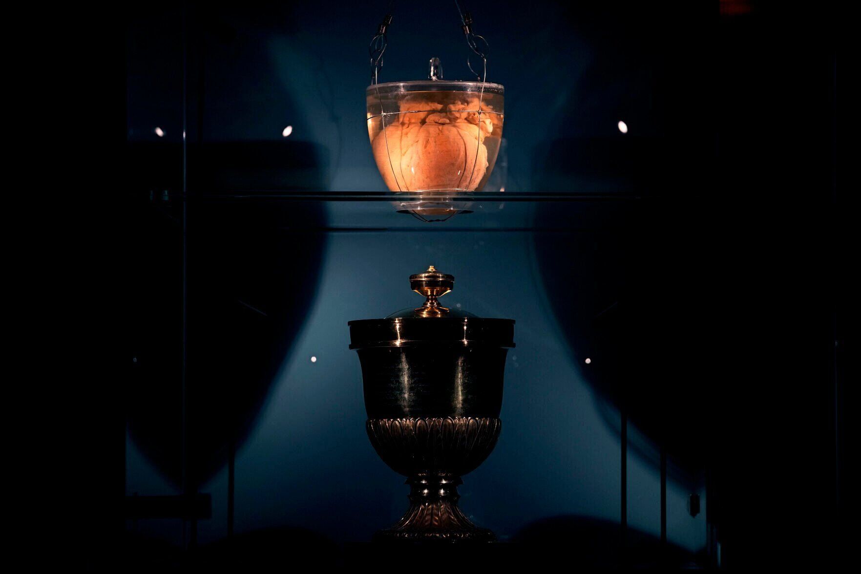 APTOPIX Brazil Emperors Heart